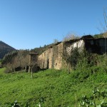 casalineiraslongshot