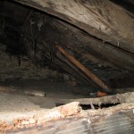 roof1 roof1