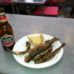 troutandbeer troutandbeer
