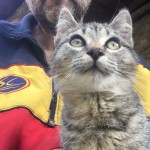 3C4CDE2A-68BD-4285-8AB7-F498DFD697F3